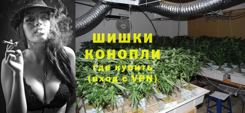 Бошки Шишки White Widow  Ленинск 